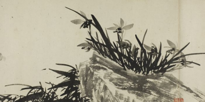 Orchids 蘭圖 thumbnail